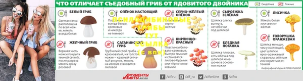 круглые Тайга