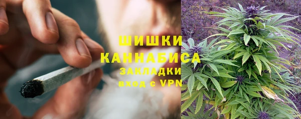 PSILOCYBIN Володарск